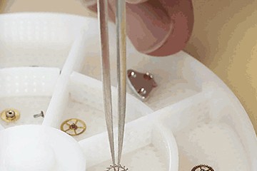 贵阳劳力士腕表表带多少钱